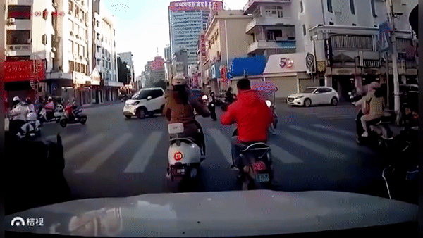 Trâu điên làm loạn phố