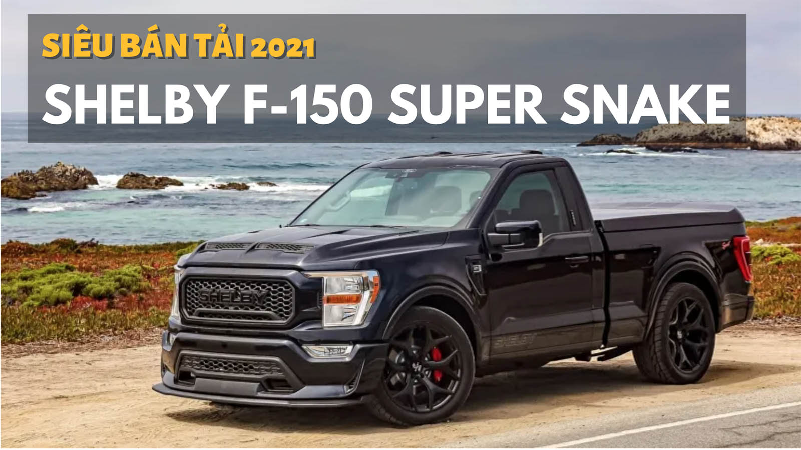 Shelby F-150 Super Snake 2021: Siêu bán tải giá 2,6 tỷ