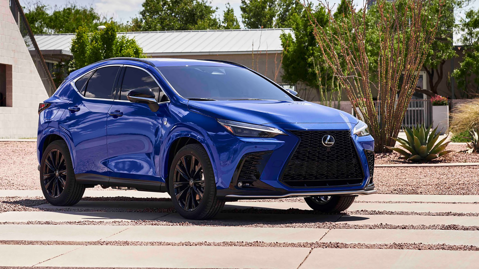 Xem trước Lexus NX250 2022: Thiết kế sắc sảo