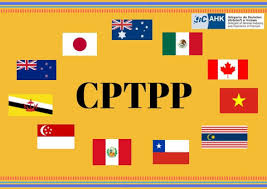 Để được ưu đãi trong CPTPP, doanh nghiệp cần vượt qua nhiều rào cản kỹ ...