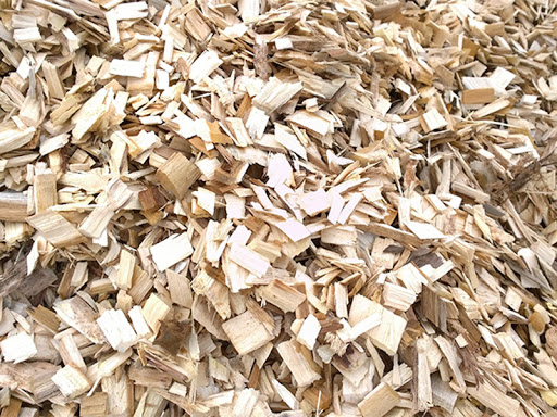 Sản xuất chế phẩm sinh học để phân hủy nhựa cây trong dăm mảnh gỗ keo, bạch đàn