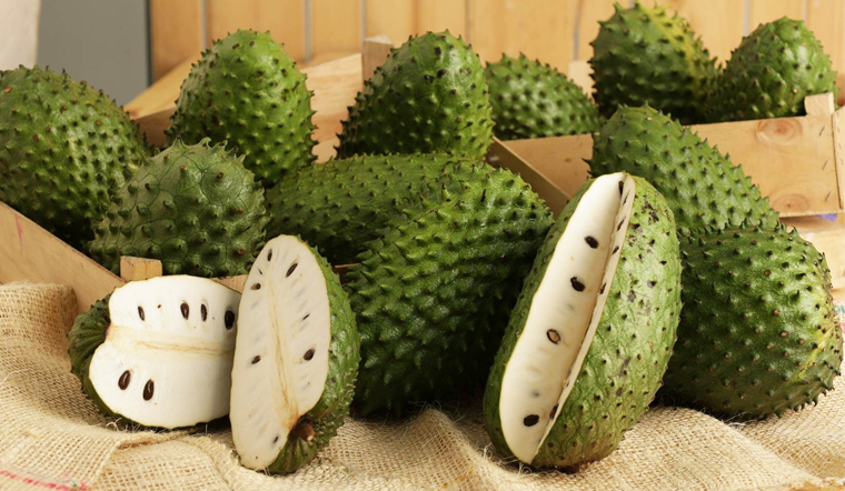 Ảnh hưởng của điều kiện chần và trữ đông đến chất lượng purée mãng cầu gai