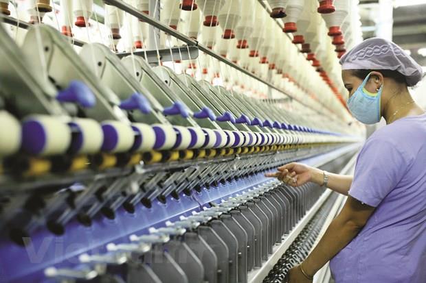 Vai trò của kế toán trong việc thực hiện các nguyên tắc tinh gọn