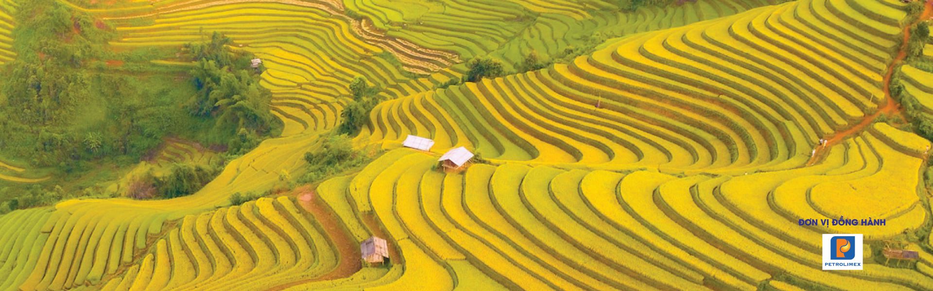 Kết nối sản xuất và tiêu thụ sản phẩm miền núi, vùng sâu vùng xa và hải đảo