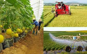 Mở rộng loại hình thành viên hợp tác xã trong dự thảo Luật Hợp tác xã (Sửa đổi)