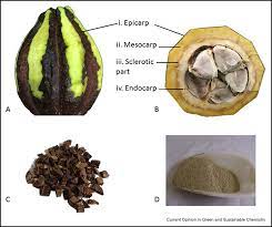 Extracting lignin from cacao pod husk