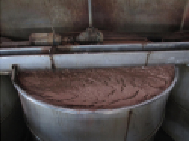 Sản xuất một số thực phẩm và thức ăn chăn nuôi từ phụ phẩm công nghiệp chế biến tôm