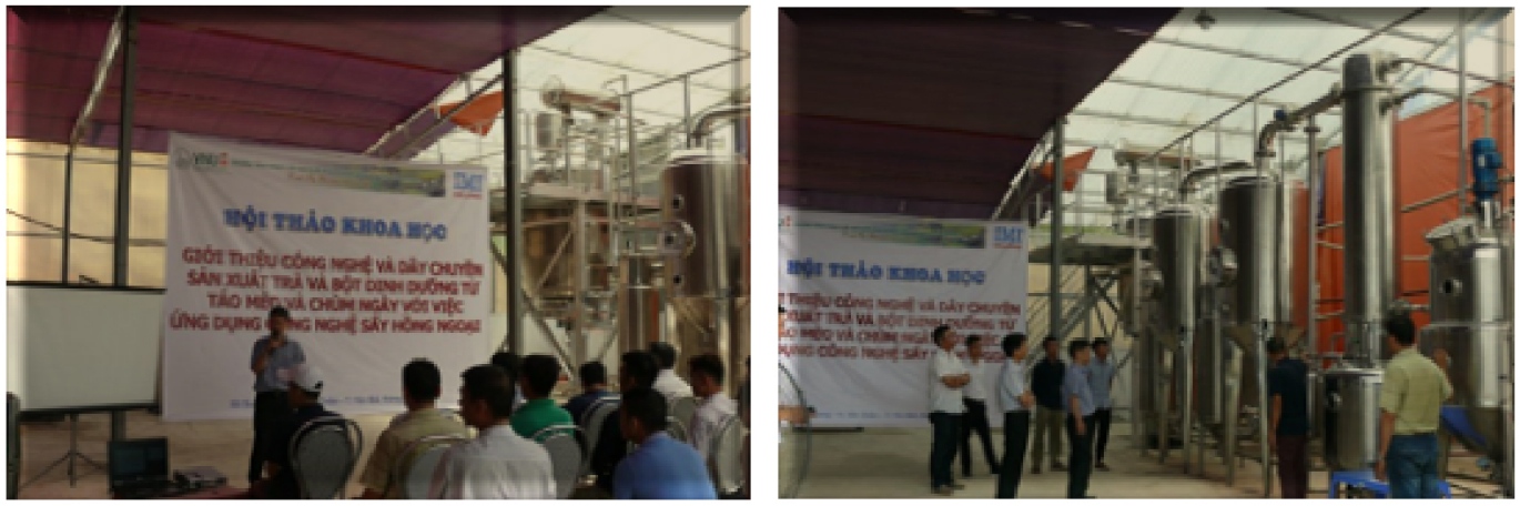 Thử nghiệm sản xuất trà và bột dinh dưỡng từ Táo mèo và Chùm ngây với việc ứng dụng công nghệ sấy bằng hồng ngoại