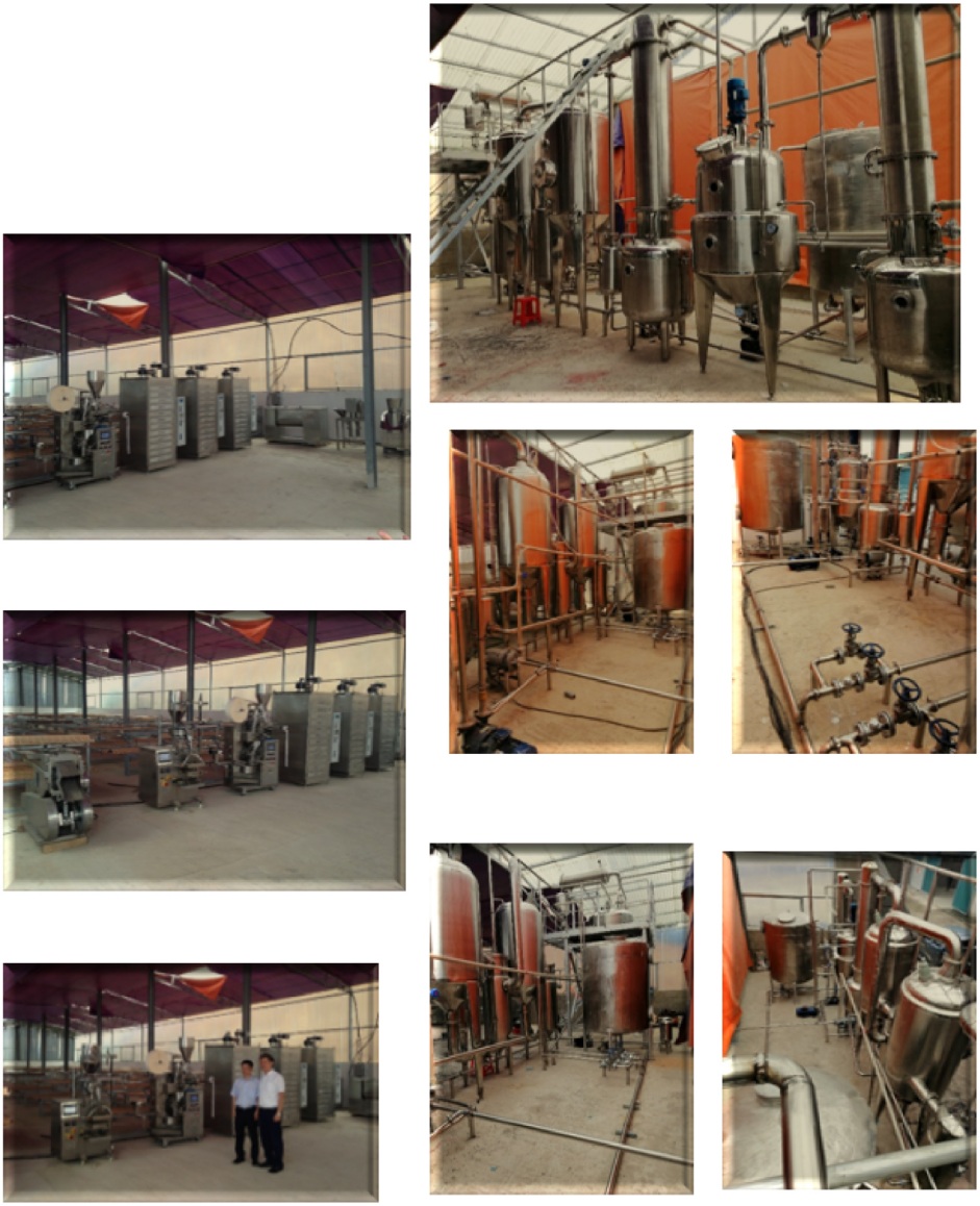 Thử nghiệm sản xuất trà và bột dinh dưỡng từ Táo mèo và Chùm ngây với việc ứng dụng công nghệ sấy bằng hồng ngoại