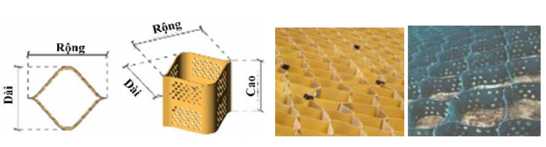 Nghiên cứu thử nghiệm công nghệ NeoWeb (Israel) trong làm đường ô tô chuyên dụng ngành mỏ tại các khu vực có nền đất yếu