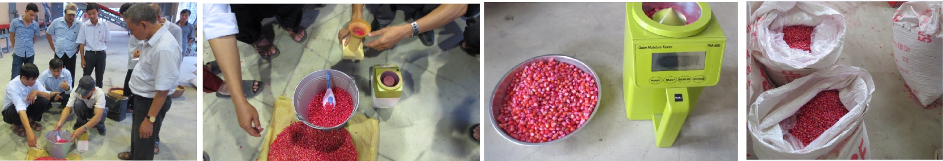 Nghiên cứu và ứng dụng vào sản xuất thiết bị nhuộm màu và xử lý hóa chất trong hệ thống dây chuyền sản xuất chế biến ngô giống quy mô công nghiệp