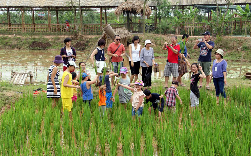 Tiềm năng phát triển du lịch nông thôn tại tỉnh An Giang