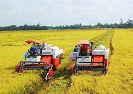 Nghiên cứu khả năng thay thế giữa các yếu tố đầu vào trong sản xuất nông nghiệp tại Đồng bằng sông Cửu Long