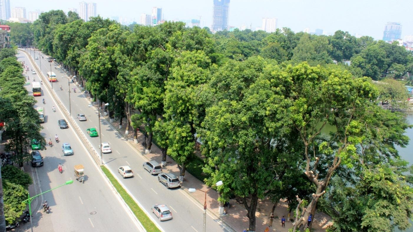 Thực trạng pháp luật Việt Nam trong việc áp dụng hàng rào phi thuế quan liên quan đến bảo vệ môi trường và sức khỏe con người trong thương mại quốc tế