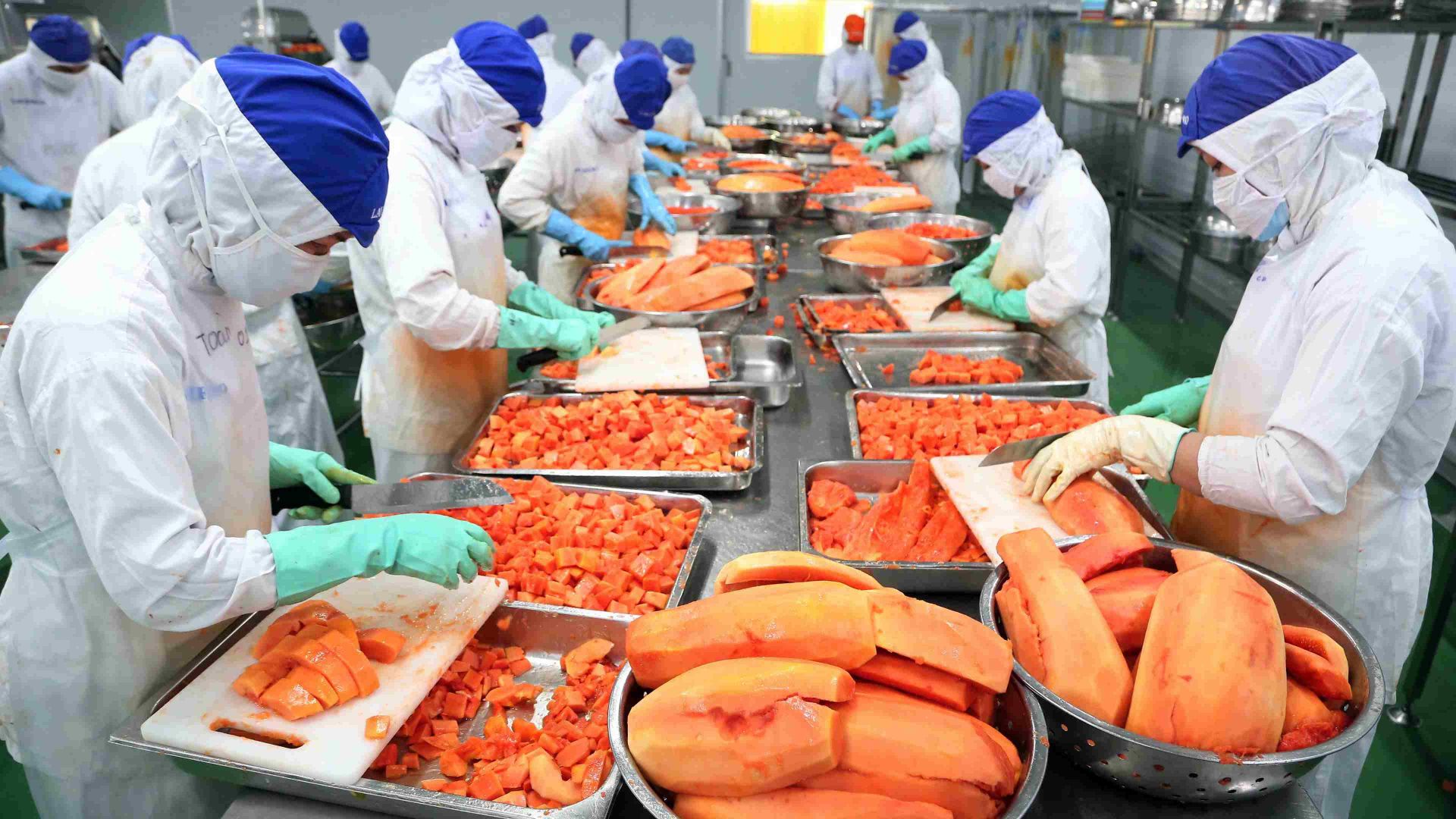 Một số giải pháp nâng cao hiệu quả kinh doanh của các doanh nghiệp xuất khẩu nông sản Việt Nam