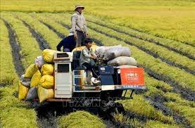 Giải pháp chuyển dịch cơ cấu kinh tế khu vực nông thôn theo hướng công nghiệp hóa - hiện đại hóa