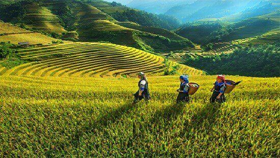 Mức chi hỗ trợ khởi nghiệp, thu hút đầu tư vùng đồng bào dân tộc thiểu số và miền núi