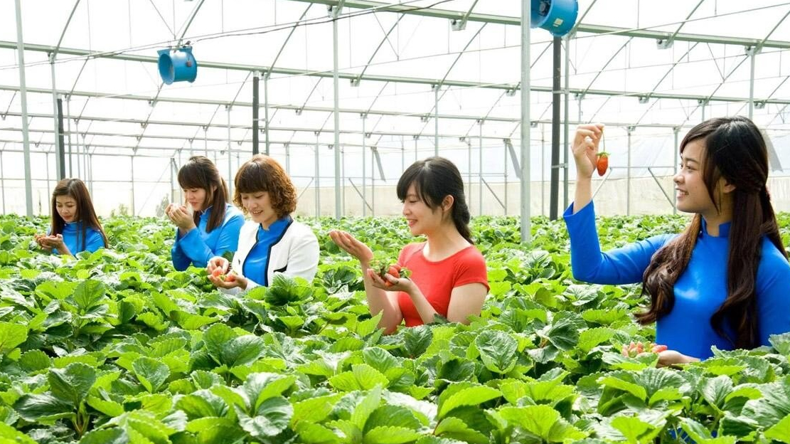 Các yếu tố ảnh hưởng đến quyết định chọn tham gia mô hình du lịch canh nông của du khách tại thành phố Đà Lạt, tỉnh Lâm Đồng