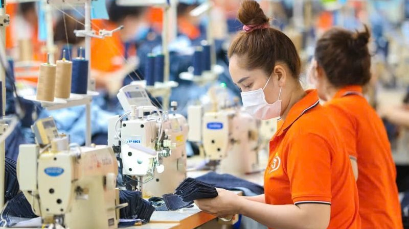 Chính thức ban hành Kế hoạch triển khai thi hành Luật Bảo hiểm xã hội và Nghị quyết số 142/2024/QH15