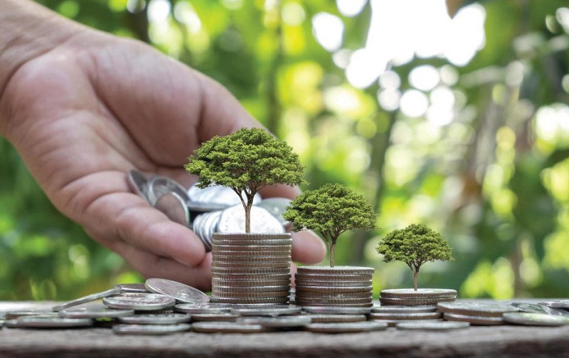 Vai trò của tài chính khí hậu tại các thị trường mới nổi