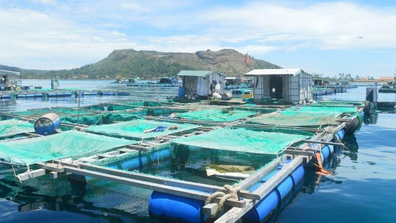 Đề xuất chính sách hỗ trợ chuyển đổi nghề cho ngư dân ven bờ ở TP. Nha Trang