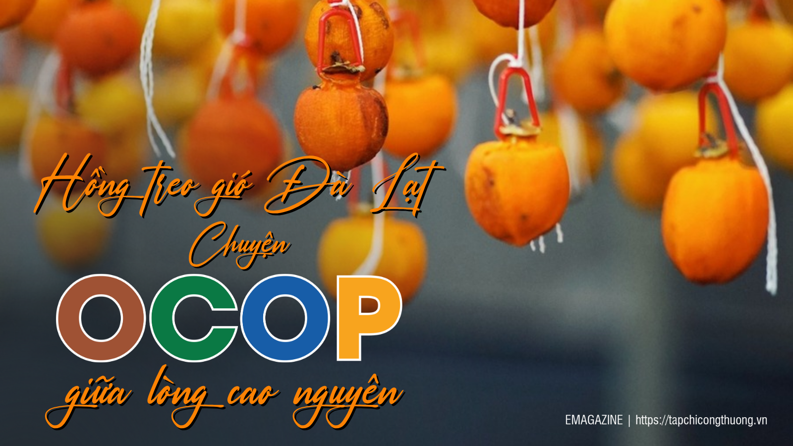 Hồng treo gió Đà Lạt - Chuyện OCOP giữa lòng cao nguyên