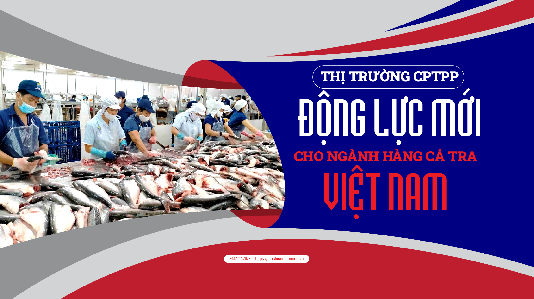 [eMagazine] Thị trường CPTPP - Động lực mới cho ngành hàng cá tra Việt Nam