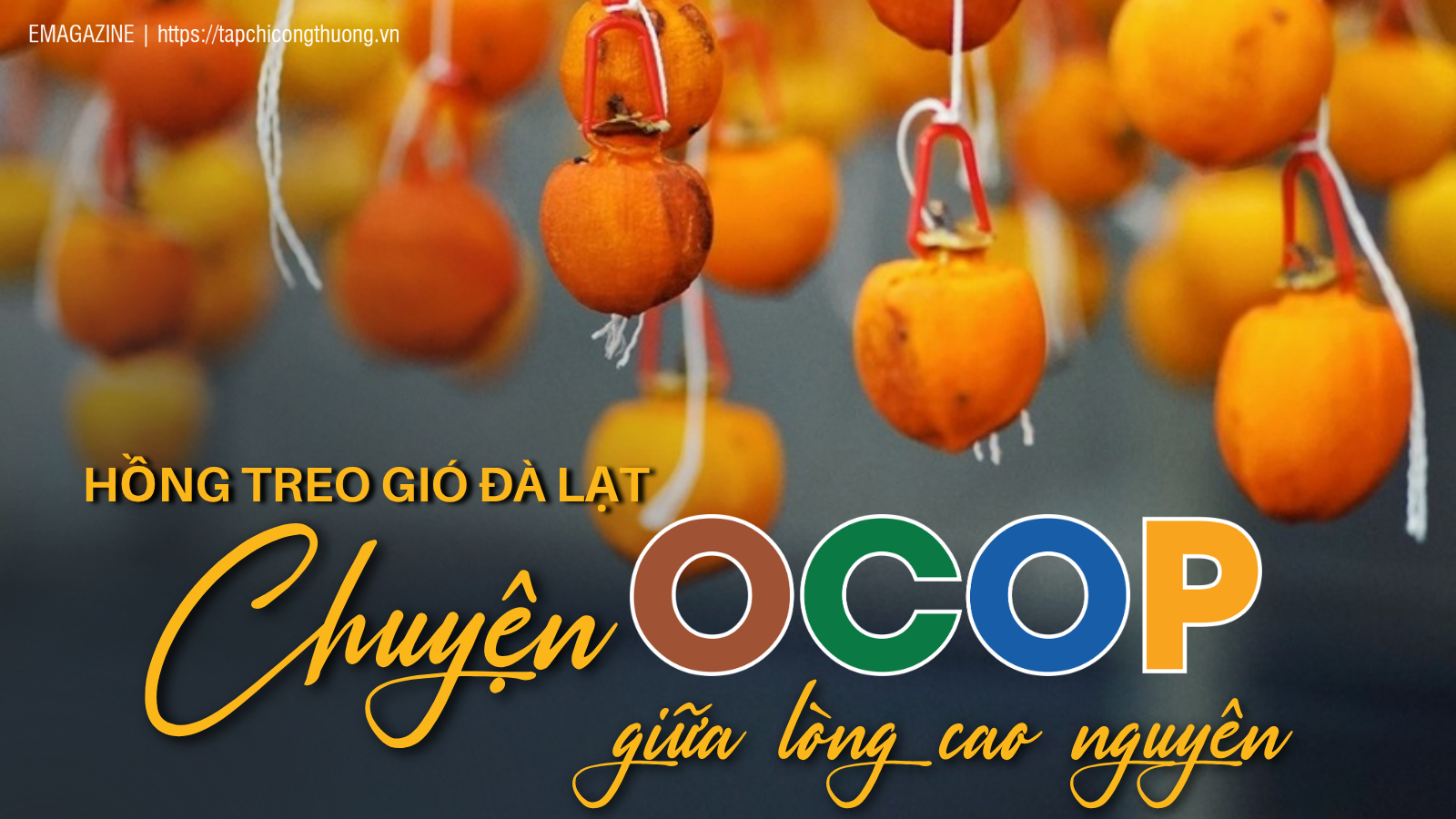 [eMagazine] Hồng treo gió Đà Lạt - Chuyện OCOP giữa lòng cao nguyên