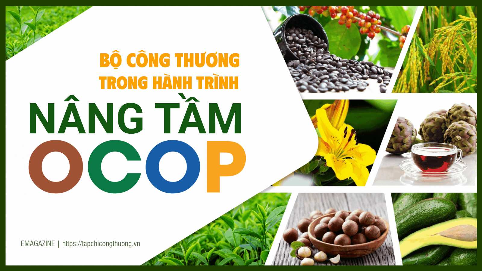 [eMagazine] Bộ Công Thương trong hành trình nâng tầm OCOP