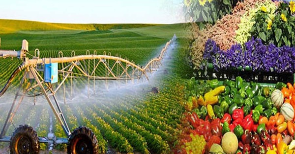 Xu hướng xanh hóa chuỗi cung ứng trong nông nghiệp tại Việt Nam