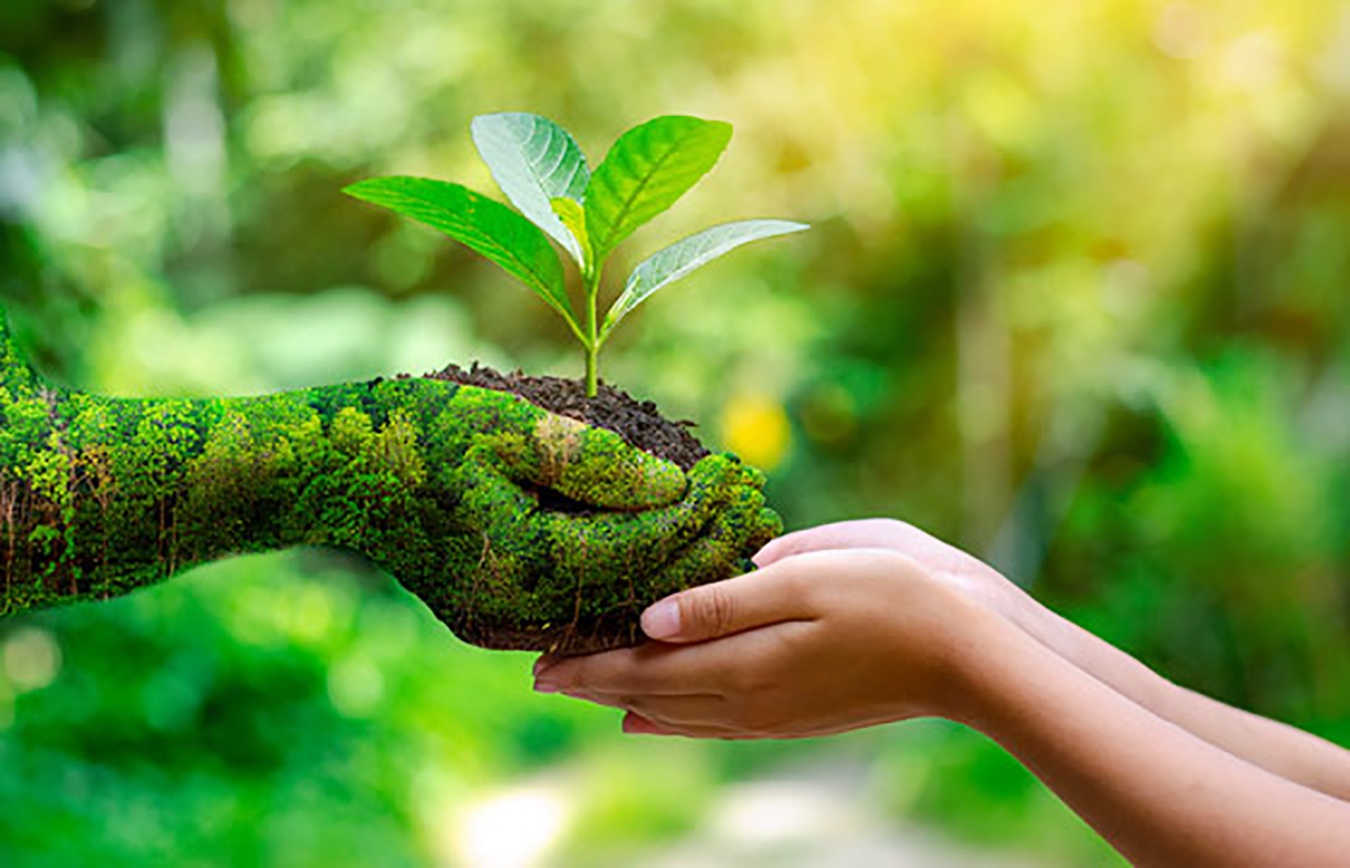 Ảnh hưởng của đổi mới xanh đến hiệu quả hoạt động kinh doanh của các công ty cổ phần Logistics tại Thành phố Hồ Chí Minh