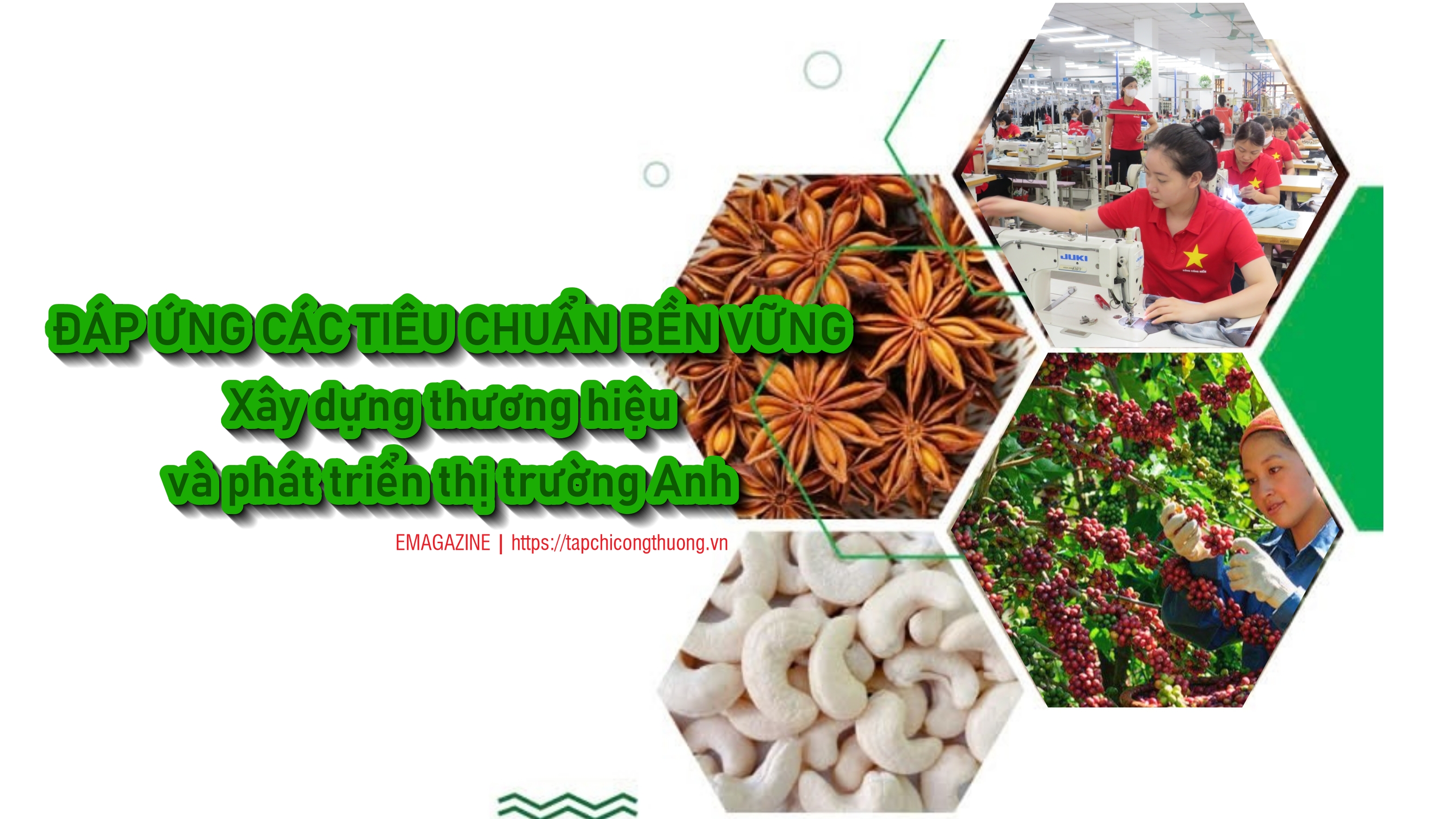 [eMagazine] Đáp ứng các tiêu chuẩn bền vững: Xây dựng thương hiệu và phát triển thị trường Anh