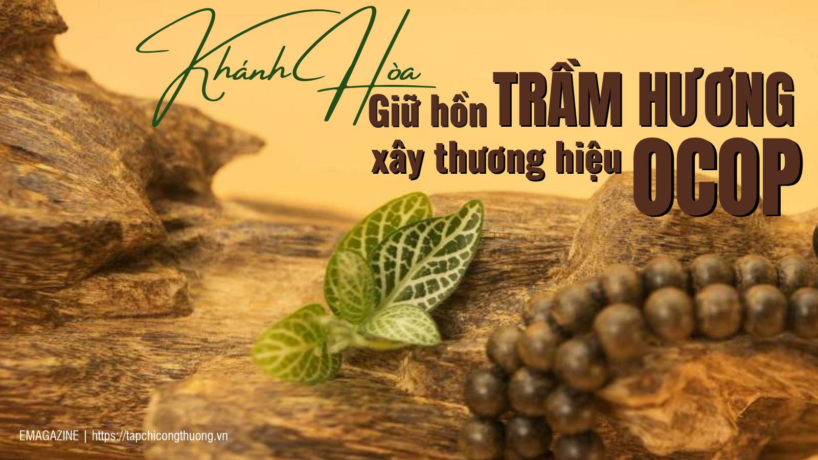 [eMagazine] Khánh Hòa - Giữ hồn trầm hương, xây thương hiệu OCOP