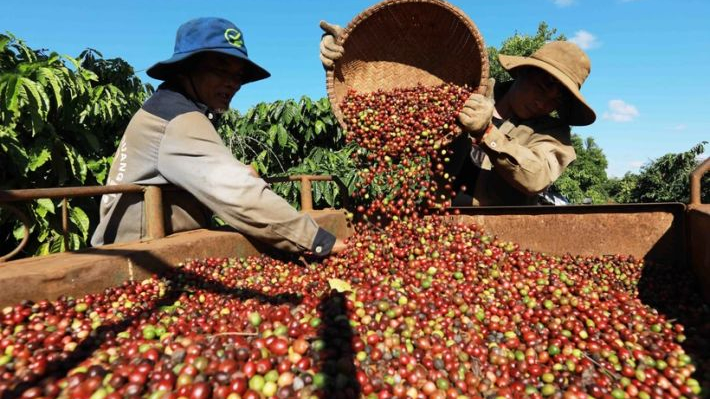 Điện Biên tái cơ cấu nông nghiệp, xây dựng nông thôn mới nâng cao theo tinh thần Đại hội XV Đảng bộ tỉnh