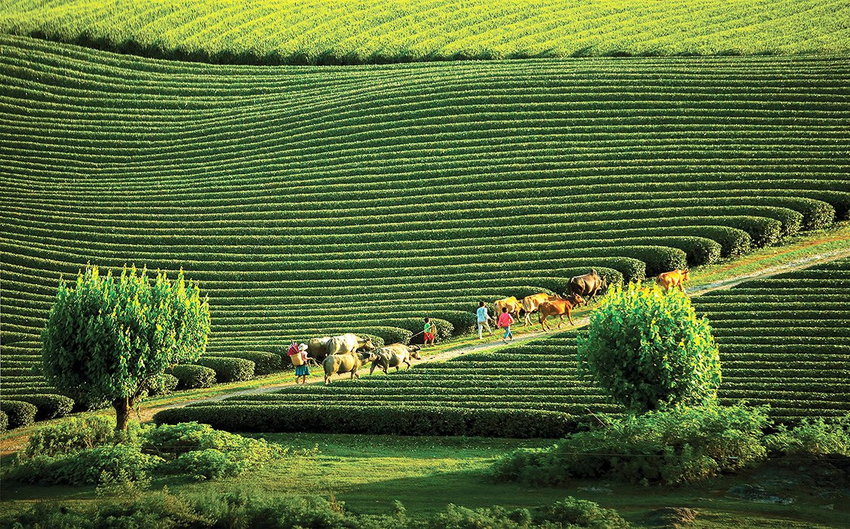 Quản lý điểm đến khu du lịch quốc gia Mộc Châu: thực trạng và giải pháp