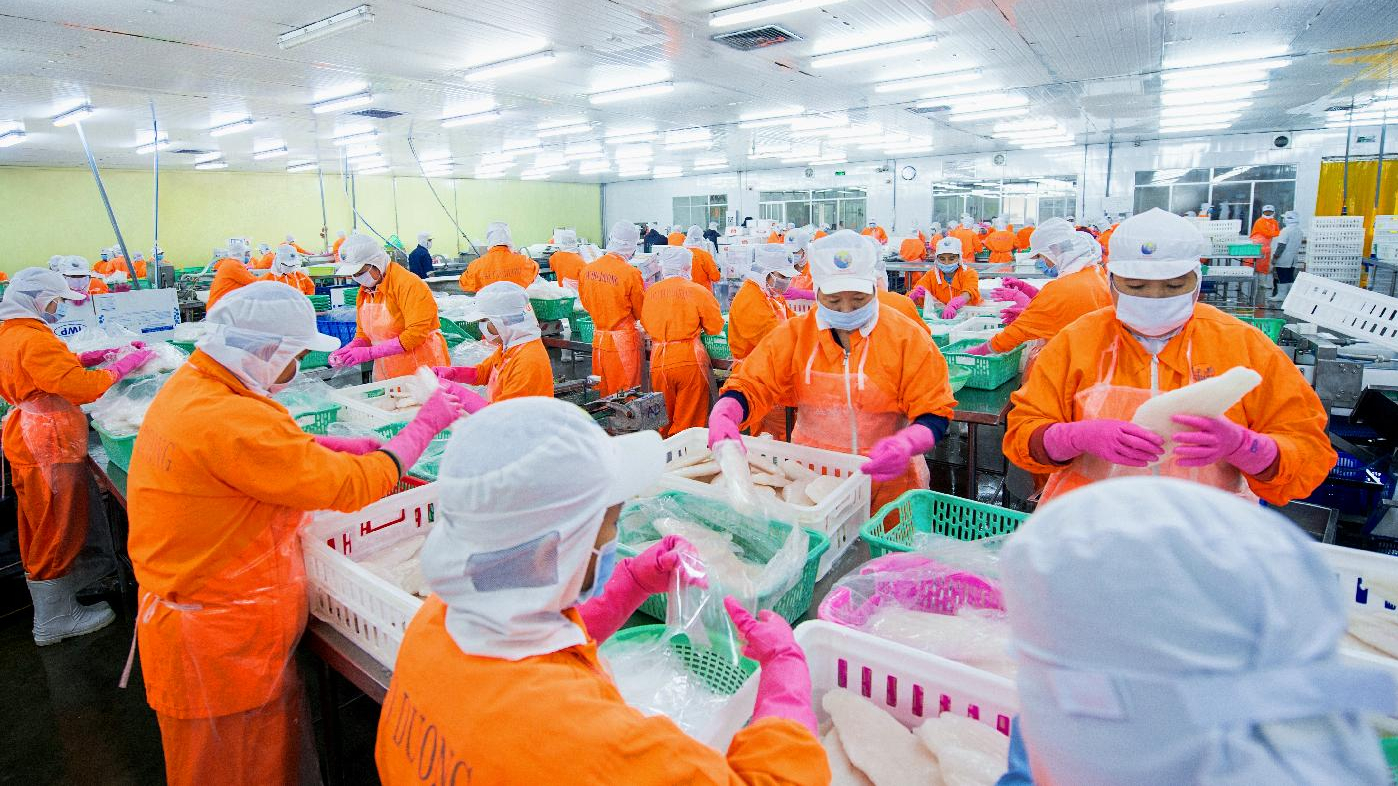 Thuỷ sản Nam Việt (ANV): Lãi nửa đầu năm tăng 18 lần, hướng đến mức lãi 1.000 tỷ đồng