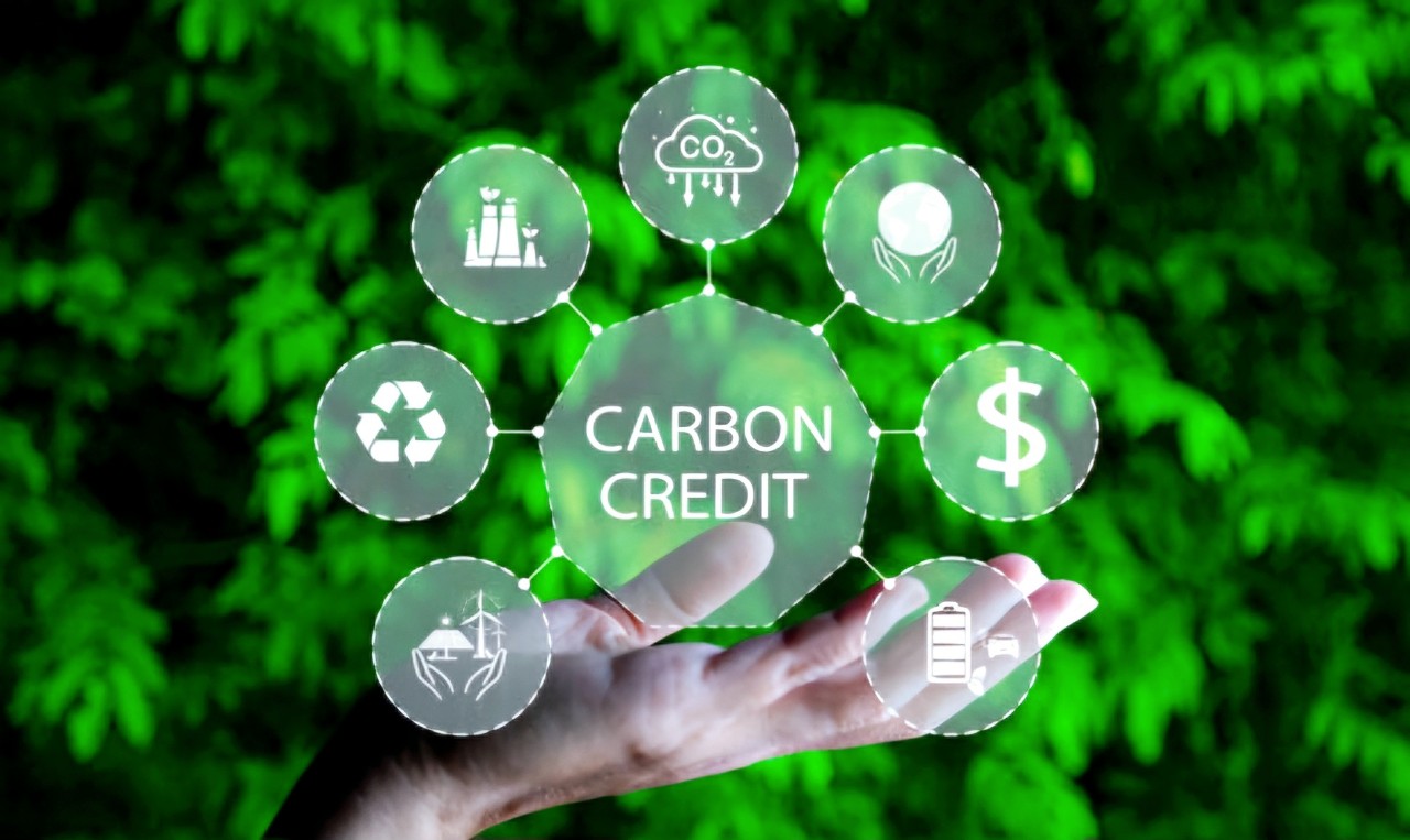 Thúc đẩy thị trường tín chỉ carbon hướng tới phát triển bền vững