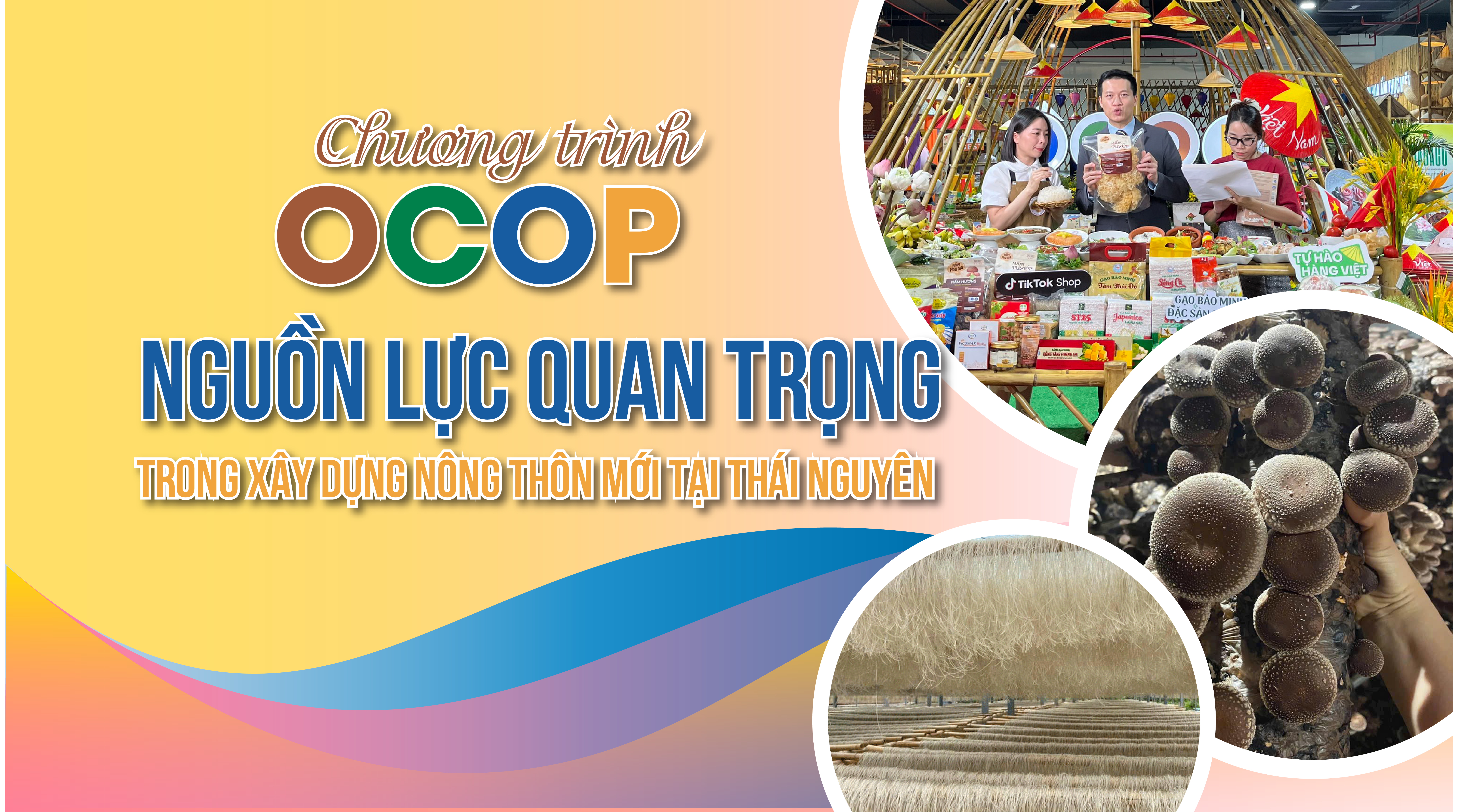 Chương trình OCOP: Nguồn lực quan trọng trong xây dựng nông thôn mới tại Thái Nguyên