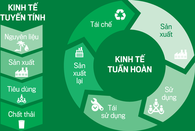 Đề xuất hệ thống chỉ tiêu đánh giá kinh tế tuần hoàn cho doanh nghiệp trong ngành hàng tiêu dùng nhanh tại Việt Nam
