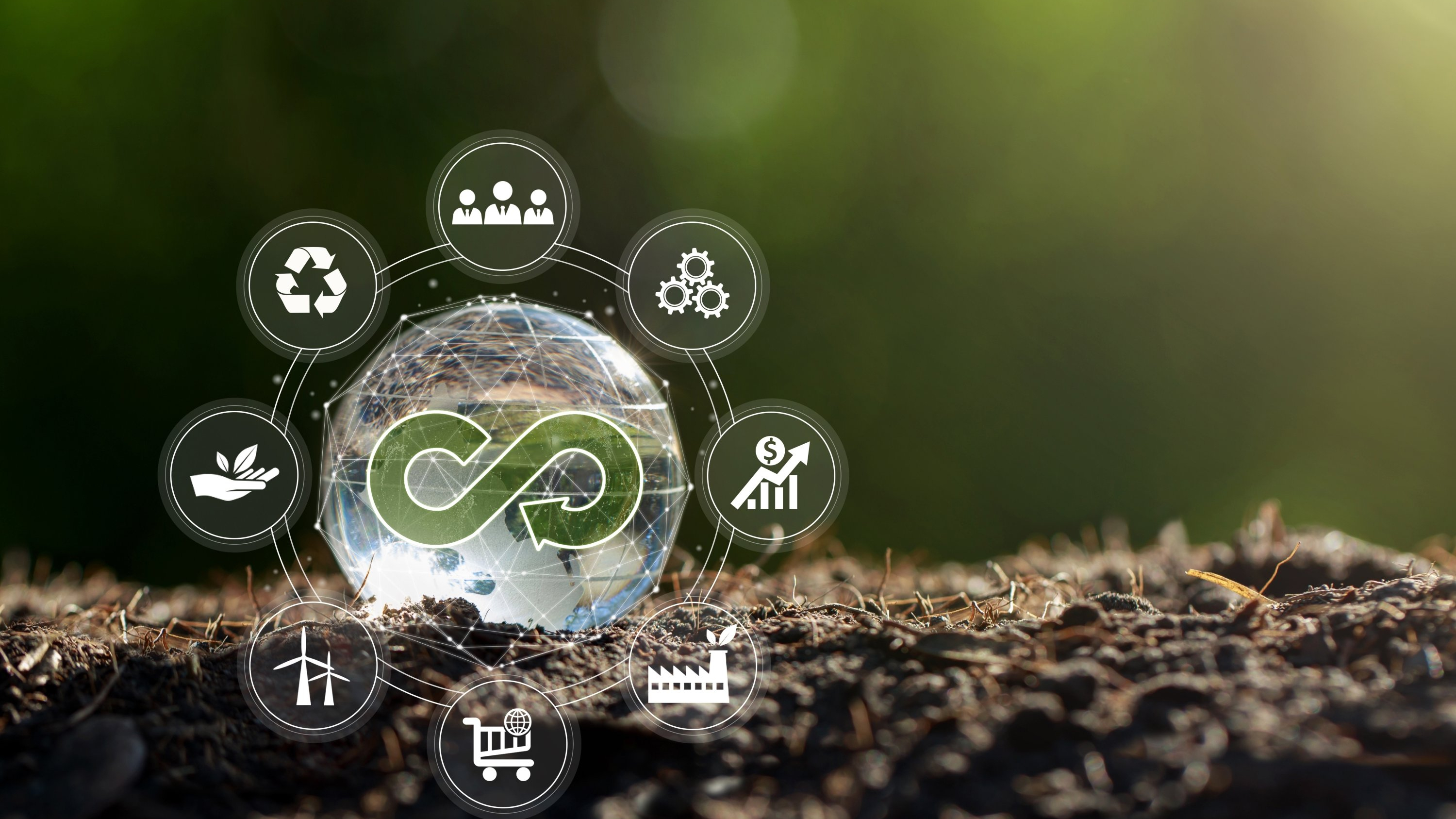 Macroeconomic determinants of circular economy growth: A comparative analysis of Germany and China