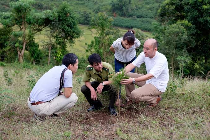 Thiết kế thể chế cho bảo tồn rừng ở cấp làng xã: Kinh nghiệm từ Hàn Quốc và hàm ý với Việt Nam