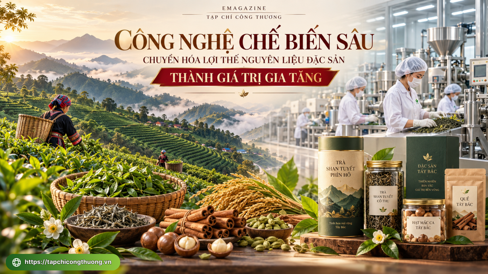 [eMagazine] Công nghệ chế biến sâu: Chuyển hóa lợi thế nguyên liệu đặc sản thành giá trị gia tăng