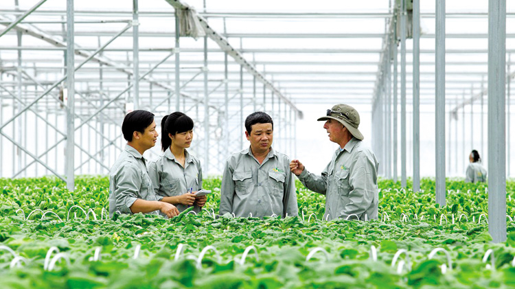 Phát triển bền vững hợp tác xã nông nghiệp ở Việt Nam: Lý luận và thực tiễn