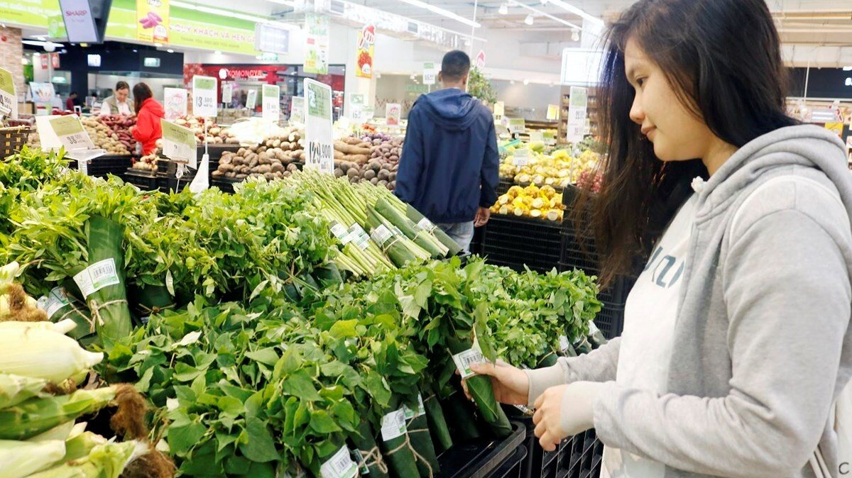 Các yếu tố ảnh hưởng đến hành vi tiêu dùng xanh của sinh viên Trường Đại học Văn Lang