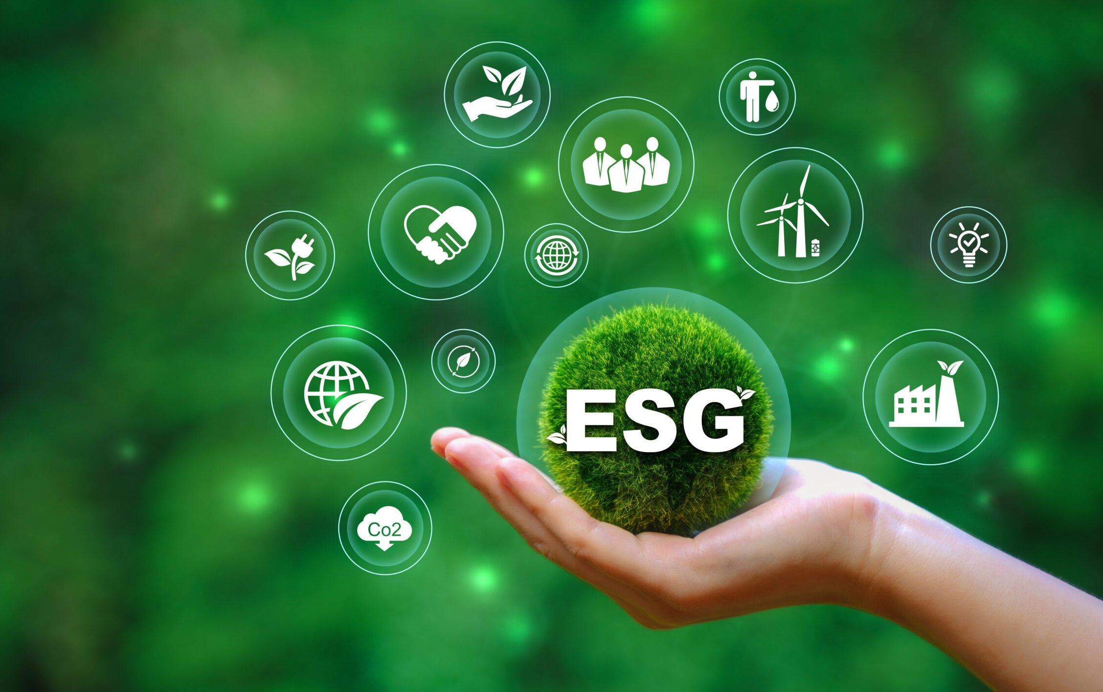 ESG implementation in Vietnam’s modern retail distribution system: From compliance to capability