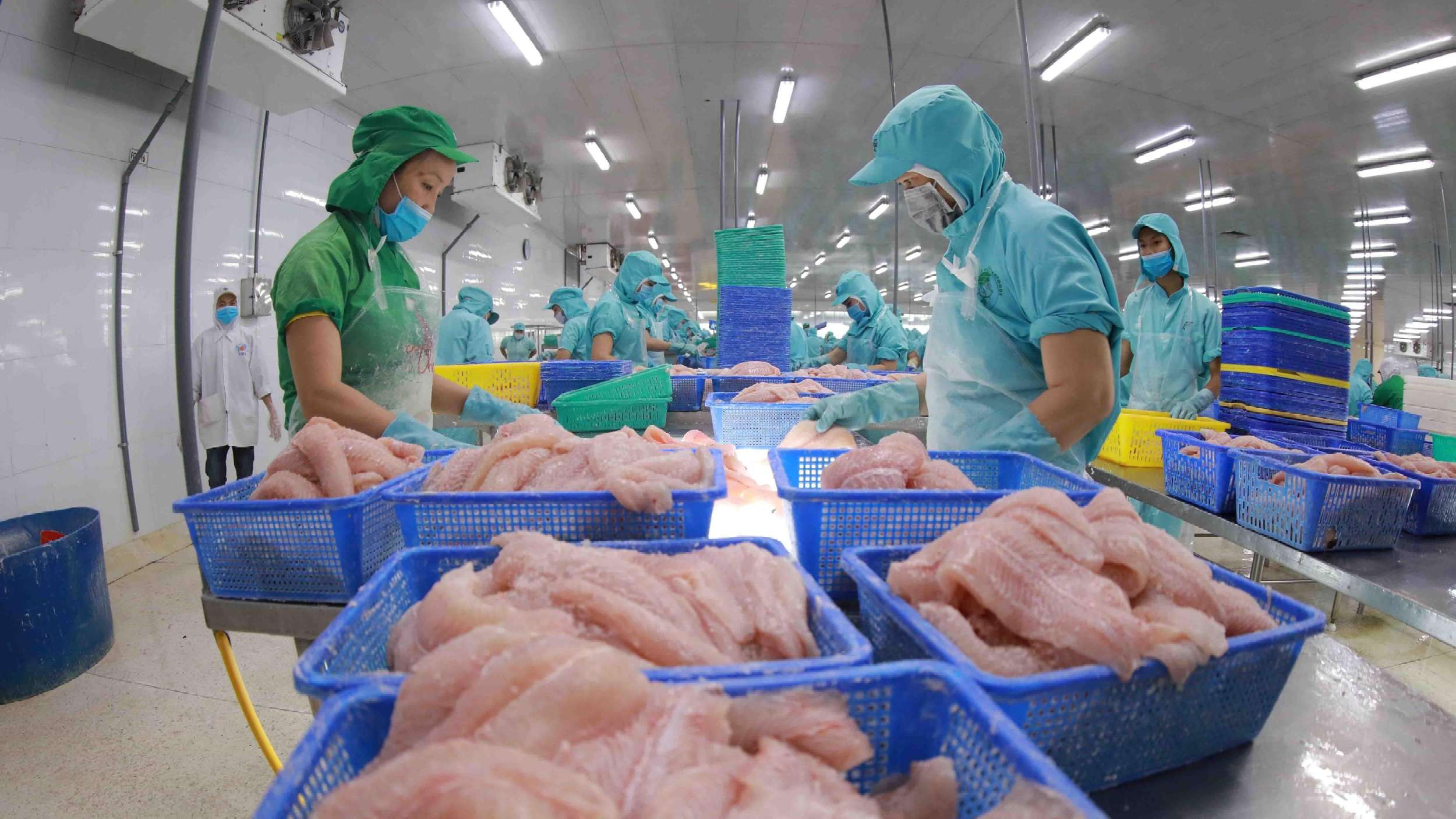 Nghiên cứu và đề xuất giải pháp ứng phó với các biện pháp phòng vệ thương mại đối với sản phẩm nông nghiệp chính tại một số thị trường xuất khẩu chủ lực của Việt Nam
