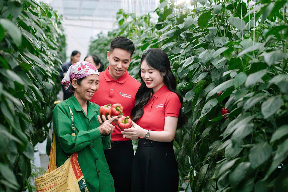 Các yếu tố ảnh hưởng đến khả năng tiếp cận tín dụng của các hộ sản xuất nông lâm nghiệp tại Ngân hàng Agribank Chi nhánh Đồng Hỷ, tỉnh Thái Nguyên (giai đoạn 2022 - 2024)