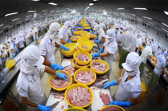 Tính giá thành sản phẩm dựa trên xác định hệ số chi phí và tỷ lệ thu hồi trong doanh nghiệp chế biến thủy sản