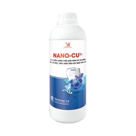 Đặc trưng hóa lý của nanocompozit CuI/Cu2+–TiO2