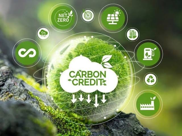 Tín dụng carbon và cơ hội kinh doanh mới cho ngân hàng thương mại
